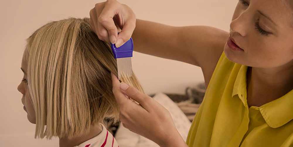 lice-and-treatment